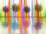 Diverse digitale kunst